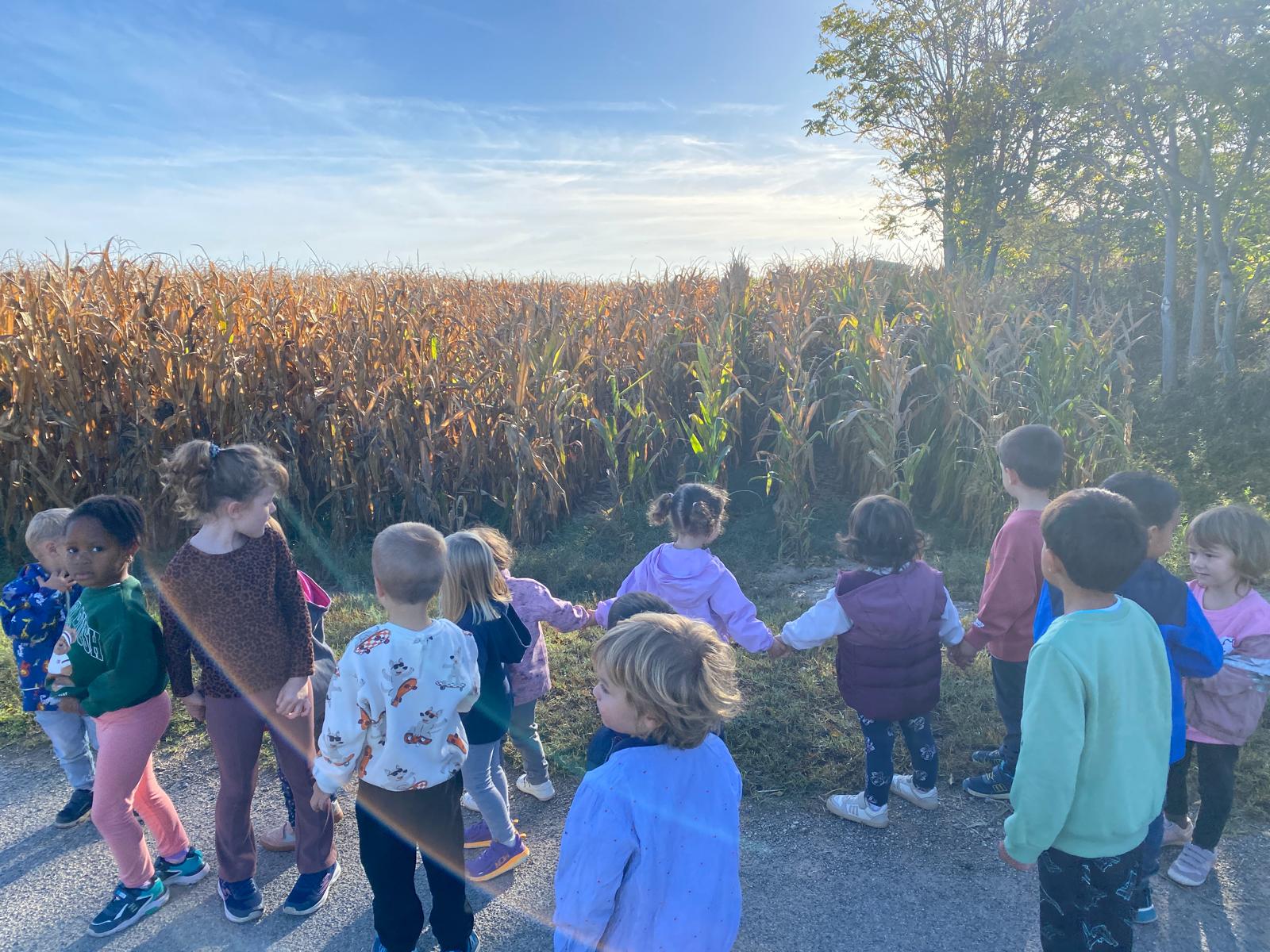 WhatsApp Image 2025-10-06 at 12.22.52