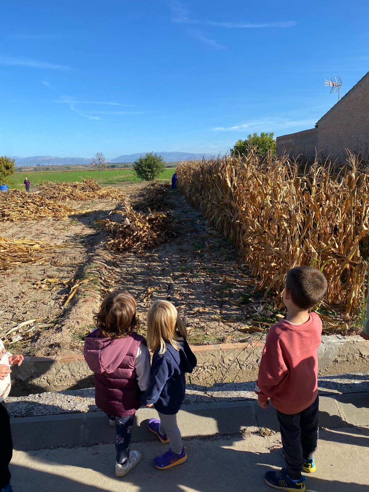 WhatsApp Image 2025-10-06 at 12.22.53