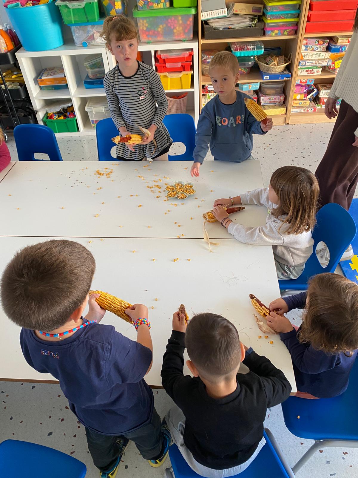 WhatsApp Image 2025-10-07 at 20.14.50 (1)