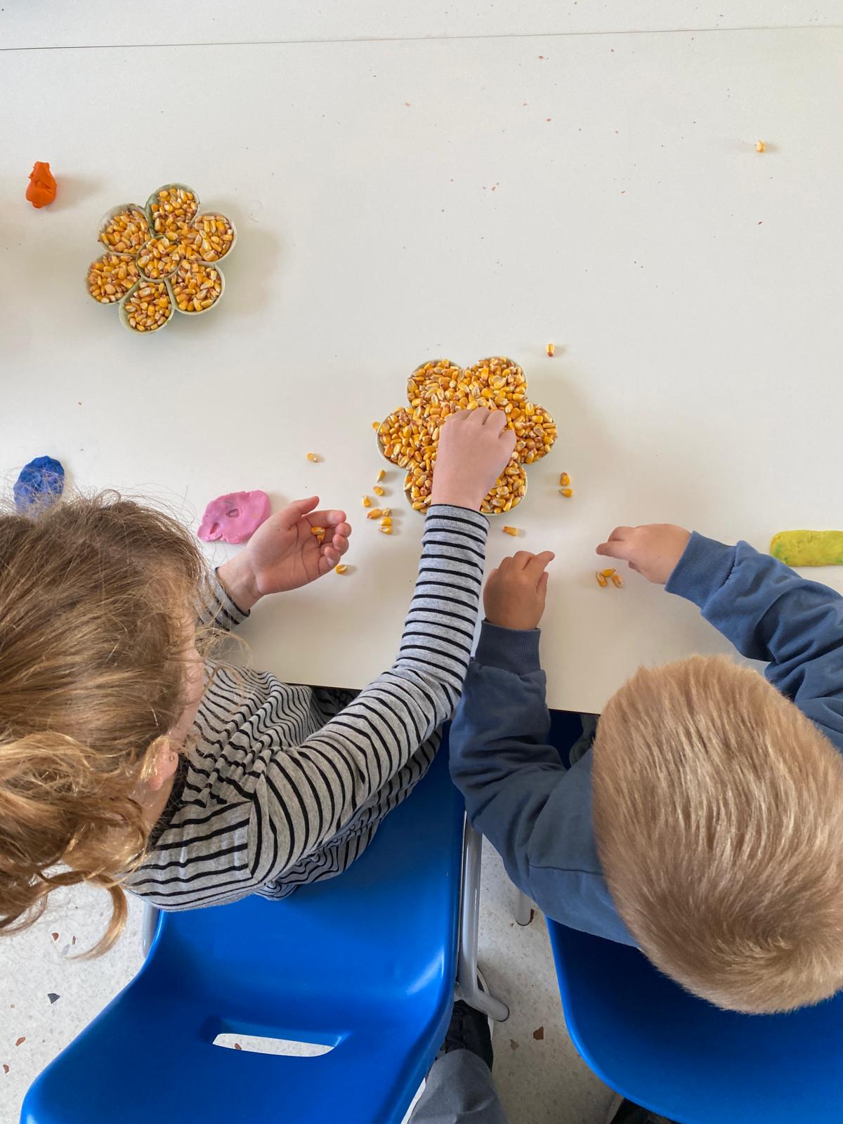 WhatsApp Image 2025-10-07 at 20.14.50 (2)