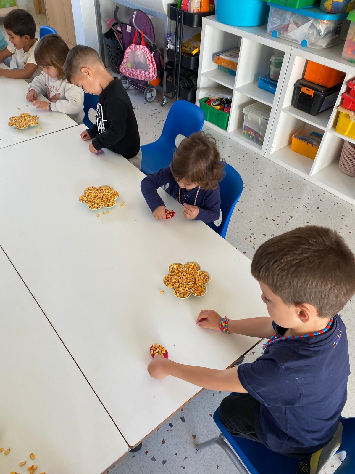 WhatsApp Image 2025-10-07 at 20.14.50 (3)