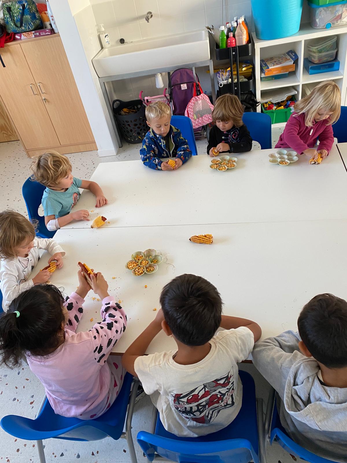 WhatsApp Image 2025-10-07 at 20.14.50