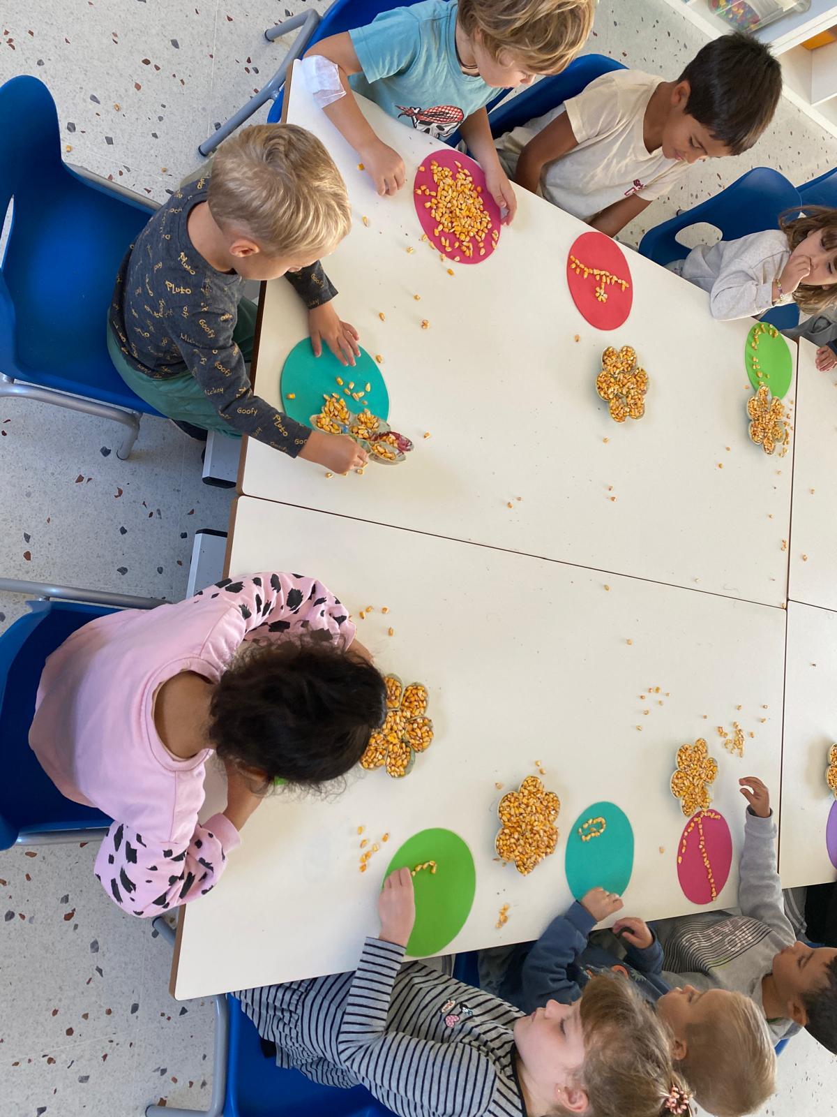 WhatsApp Image 2025-10-07 at 20.14.51 (1)