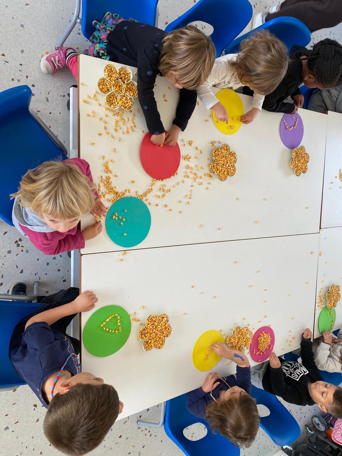 WhatsApp Image 2025-10-07 at 20.14.51