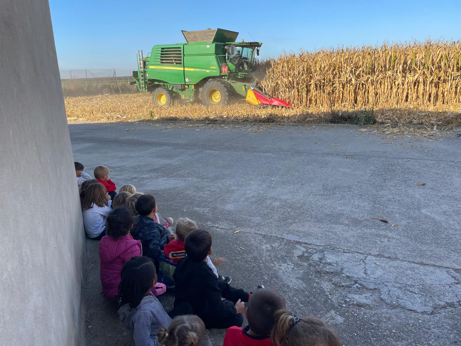 WhatsApp Image 2025-10-08 at 13.40.11 (1)