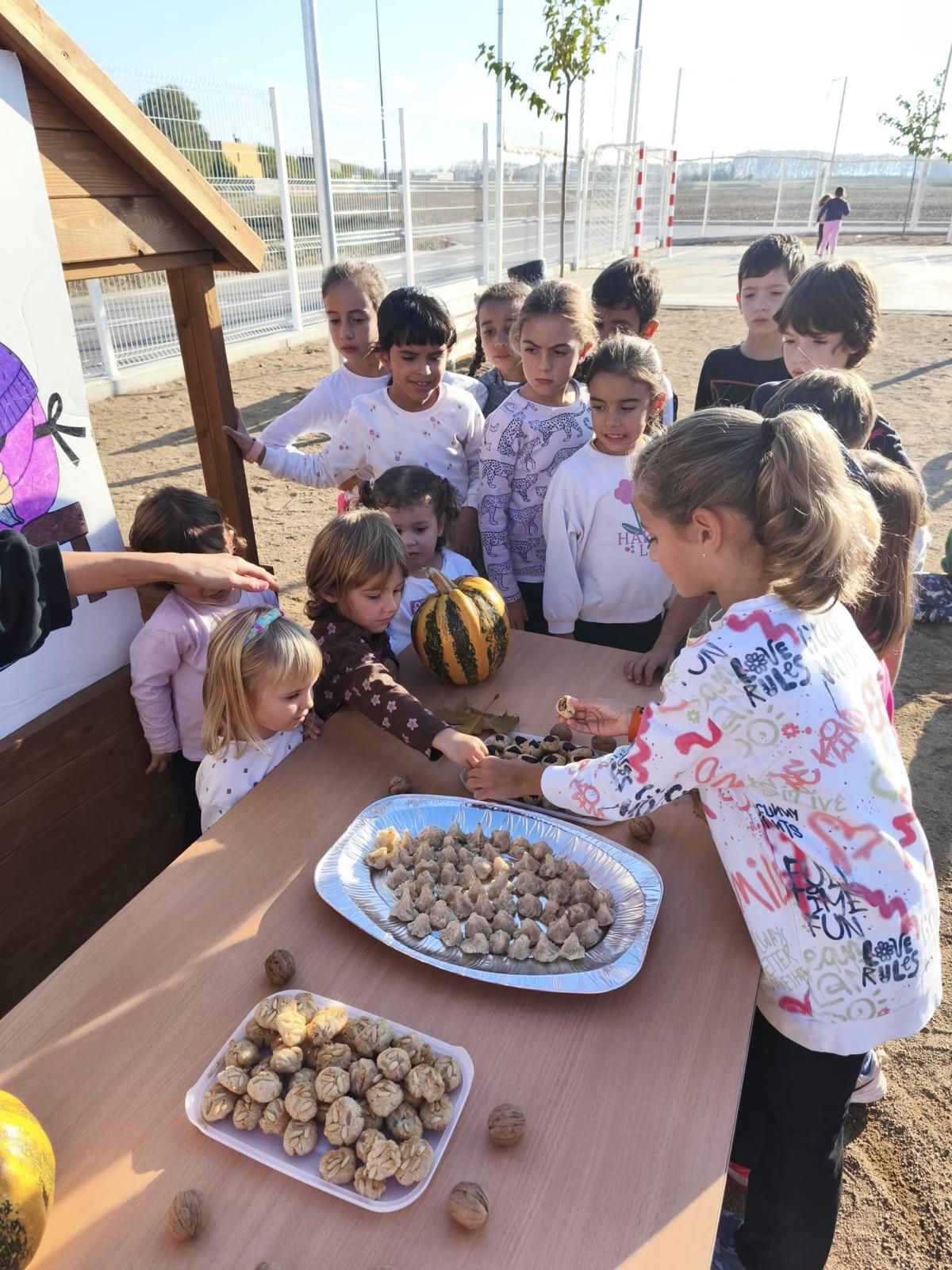 WhatsApp Image 2025-10-31 at 13.06.28 (4)