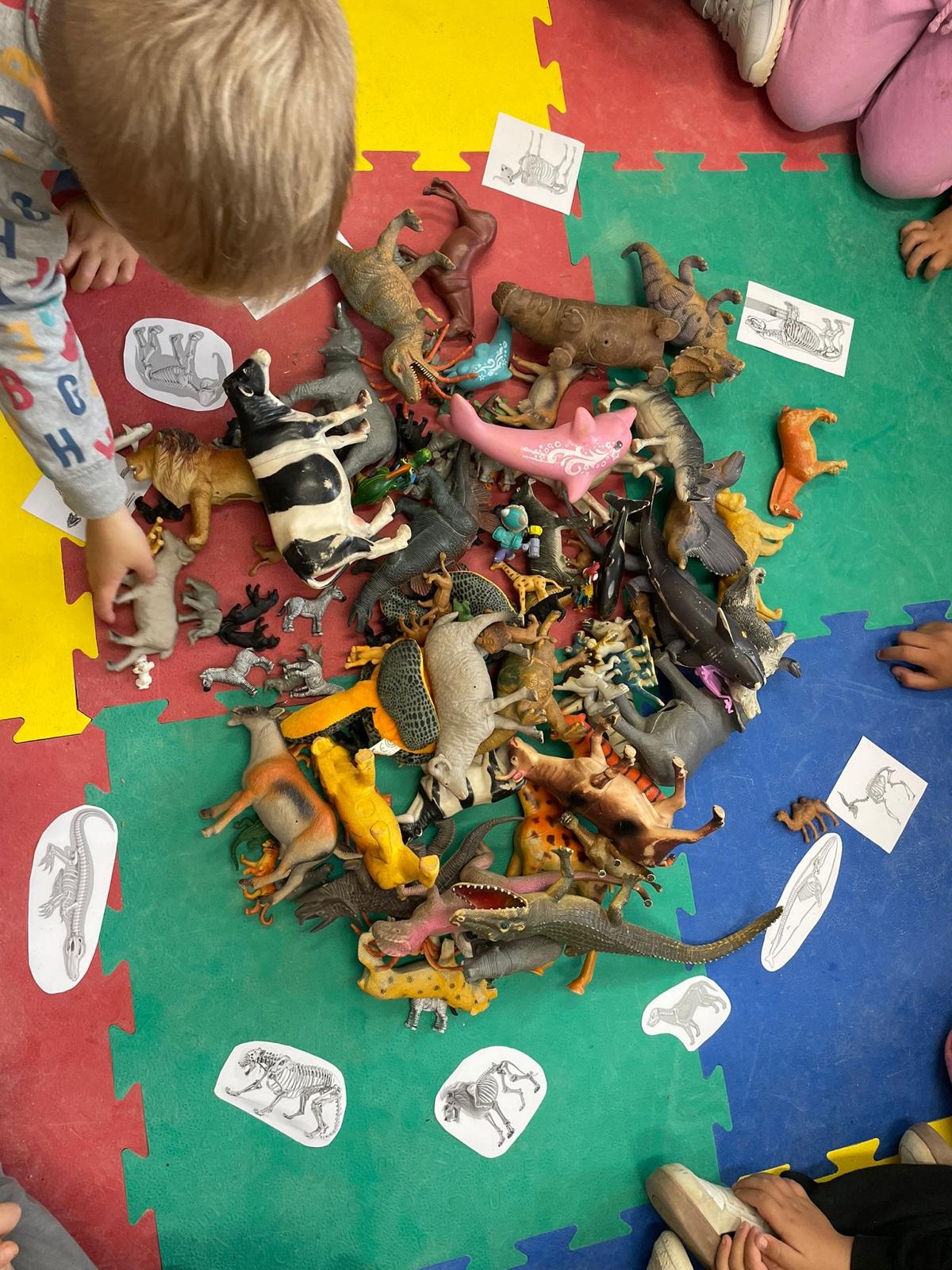 WhatsApp Image 2025-11-14 at 19.12.45