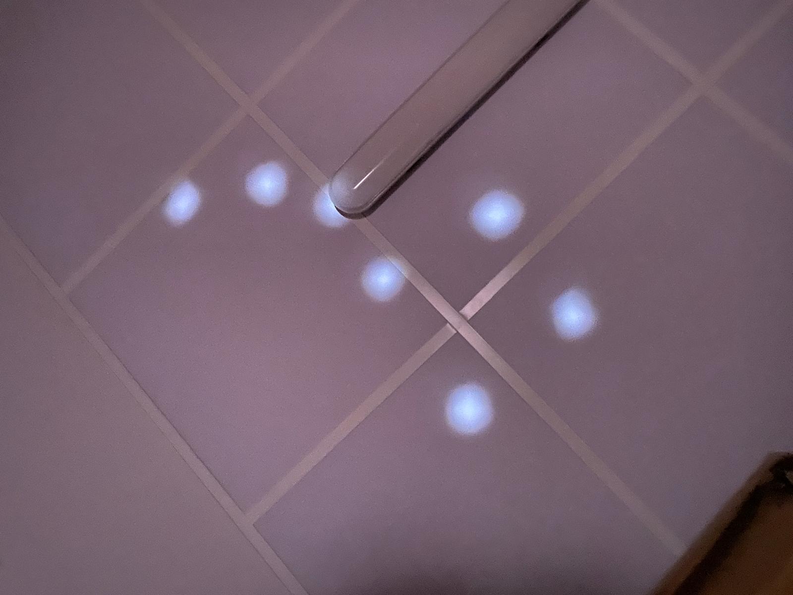 WhatsApp Image 2025-11-26 at 21.08.49