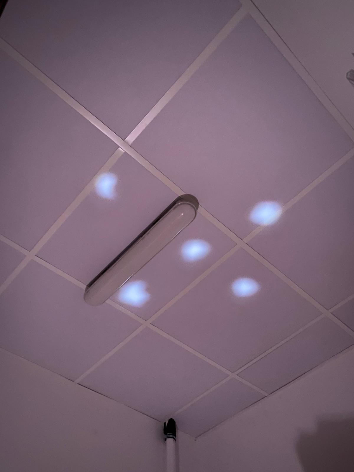 WhatsApp Image 2025-11-26 at 21.08.56 (1)