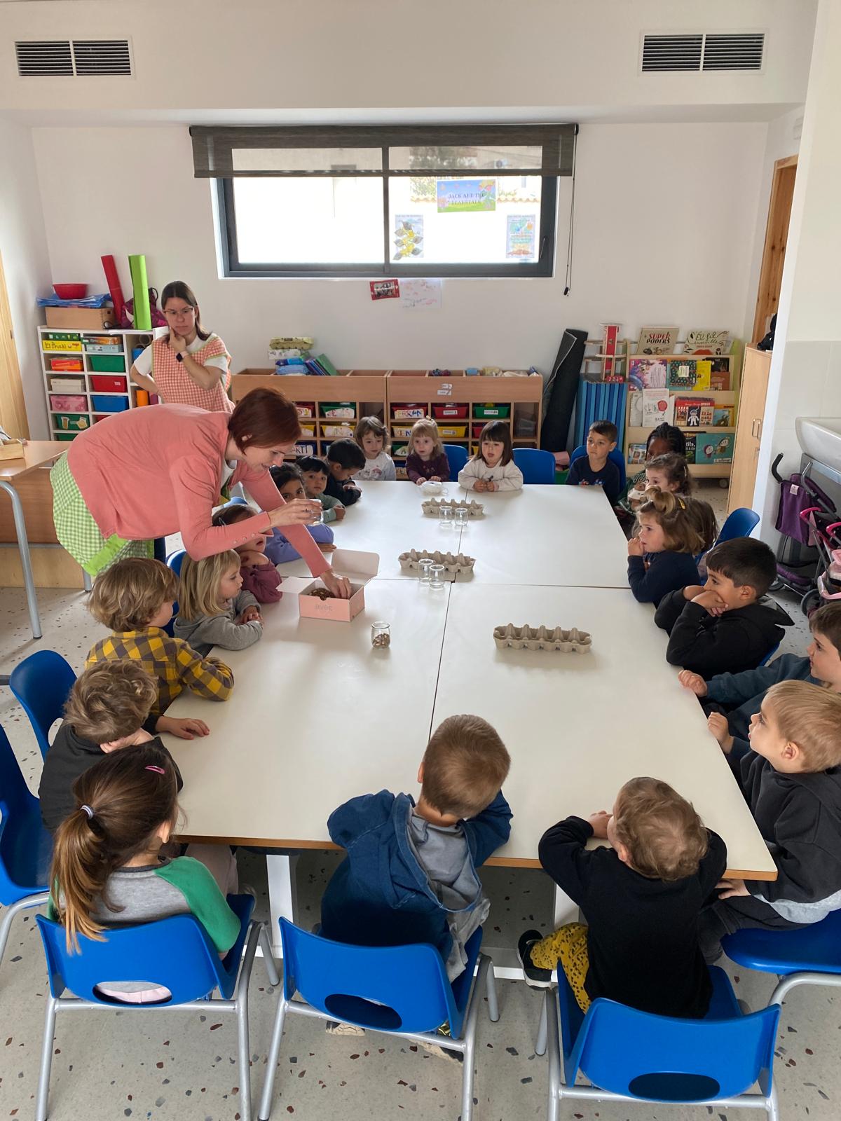 WhatsApp Image 2026-03-12 at 11.41.46