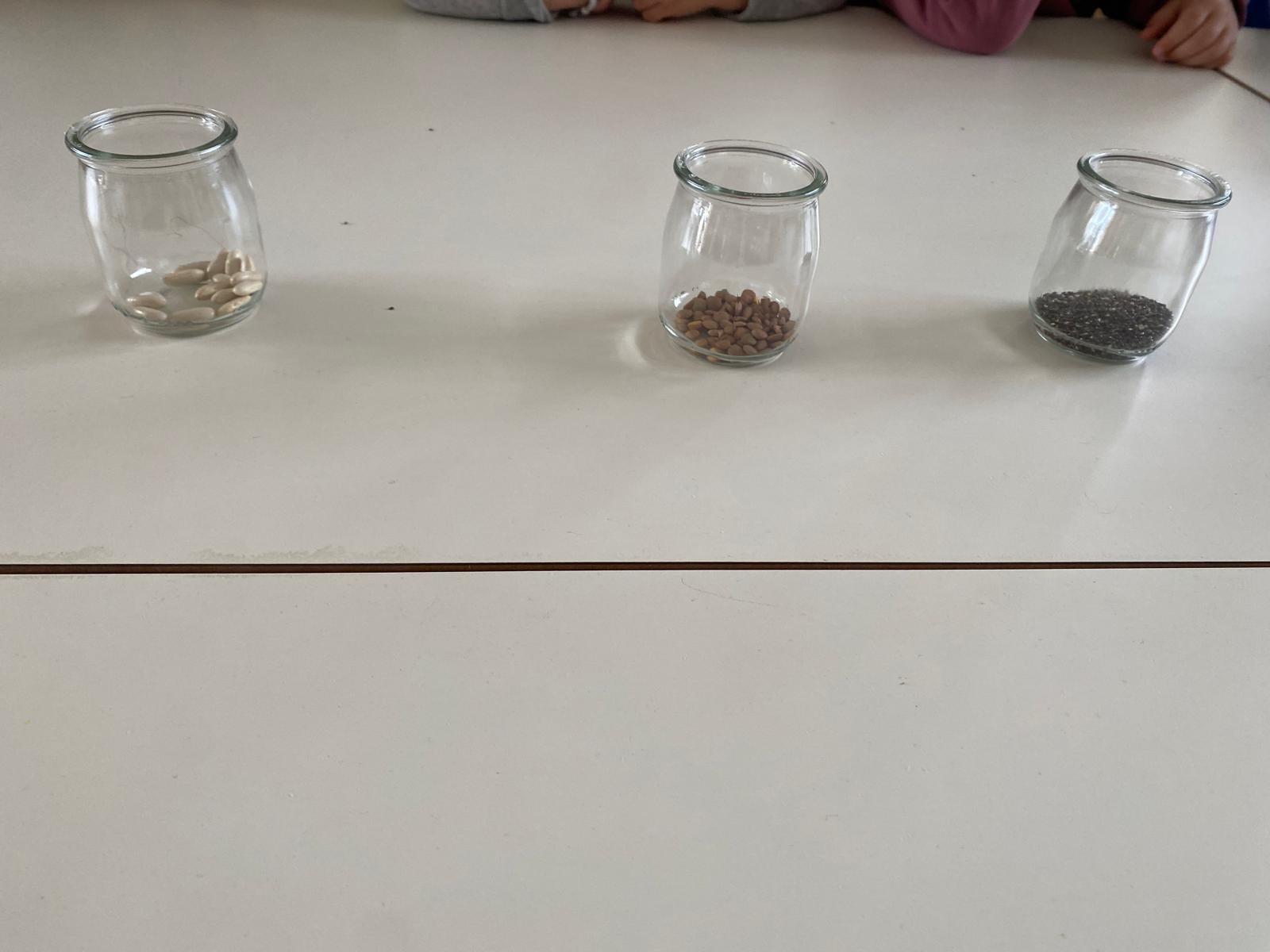 WhatsApp Image 2026-03-12 at 11.41.47 (1)