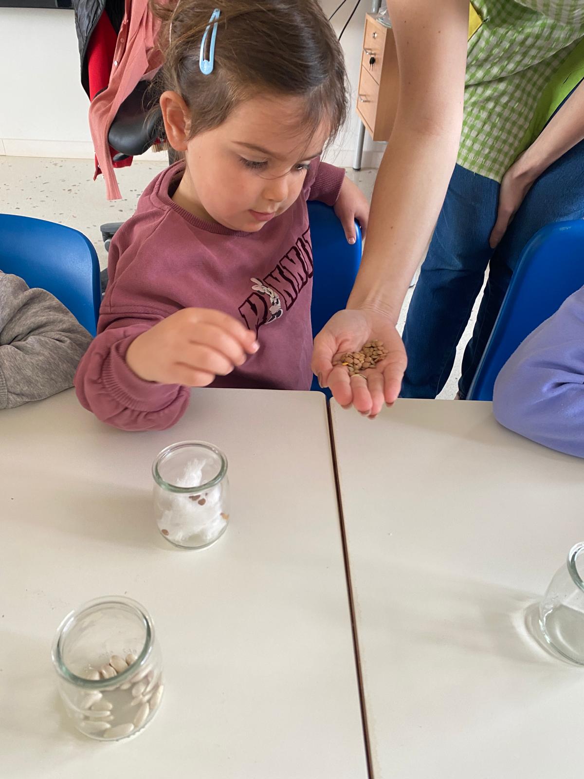 WhatsApp Image 2026-03-12 at 11.41.47 (2)