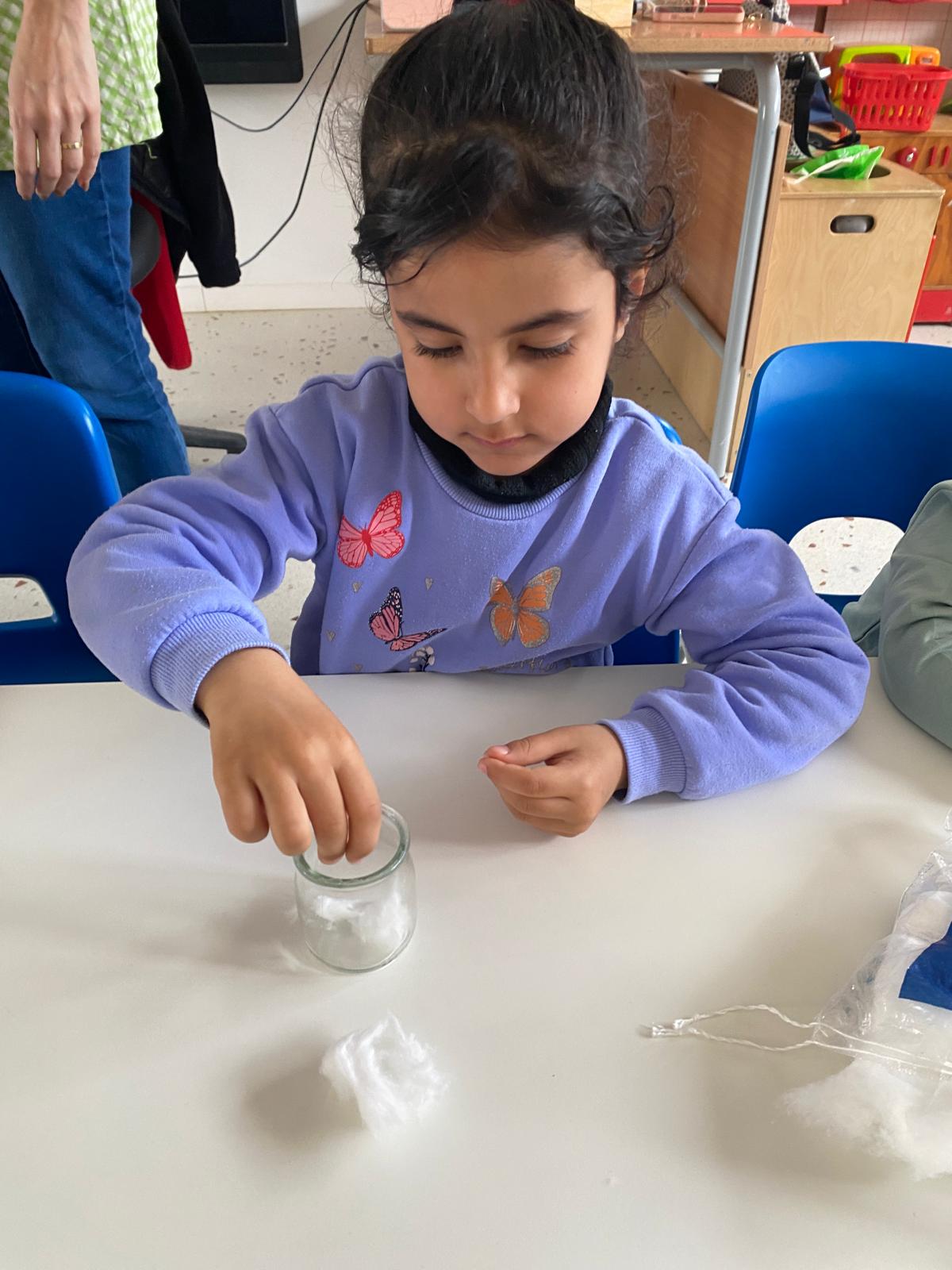 WhatsApp Image 2026-03-12 at 11.41.47