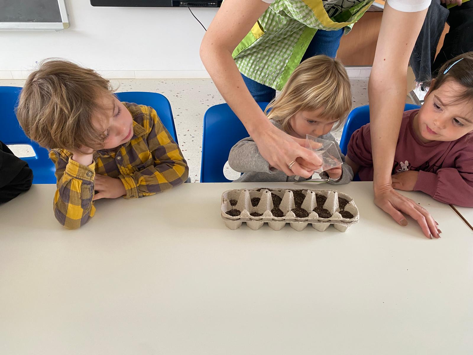 WhatsApp Image 2026-03-12 at 11.41.48