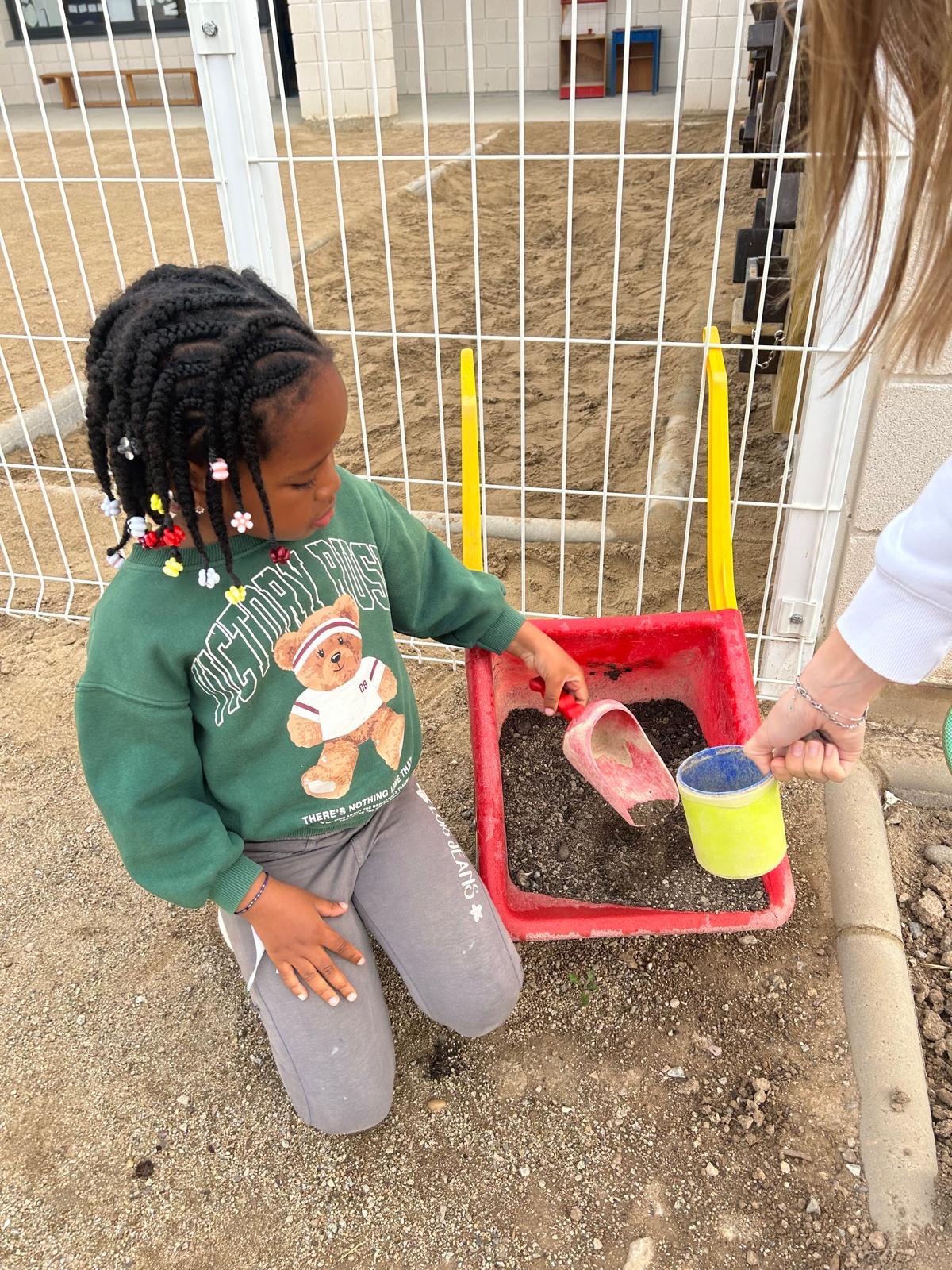 WhatsApp Image 2026-03-12 at 11.50.32