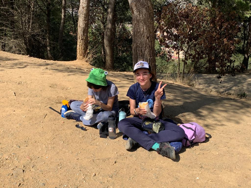 1db240d5-0617-40dc-9d4a-46953f59c486