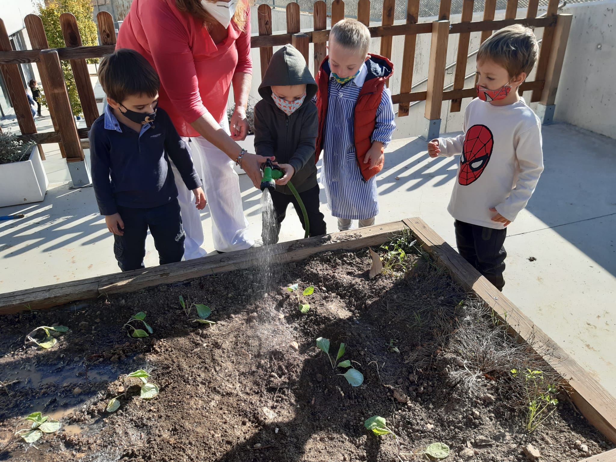 WhatsApp Image 2020-10-27 at 22.56.12 (1)