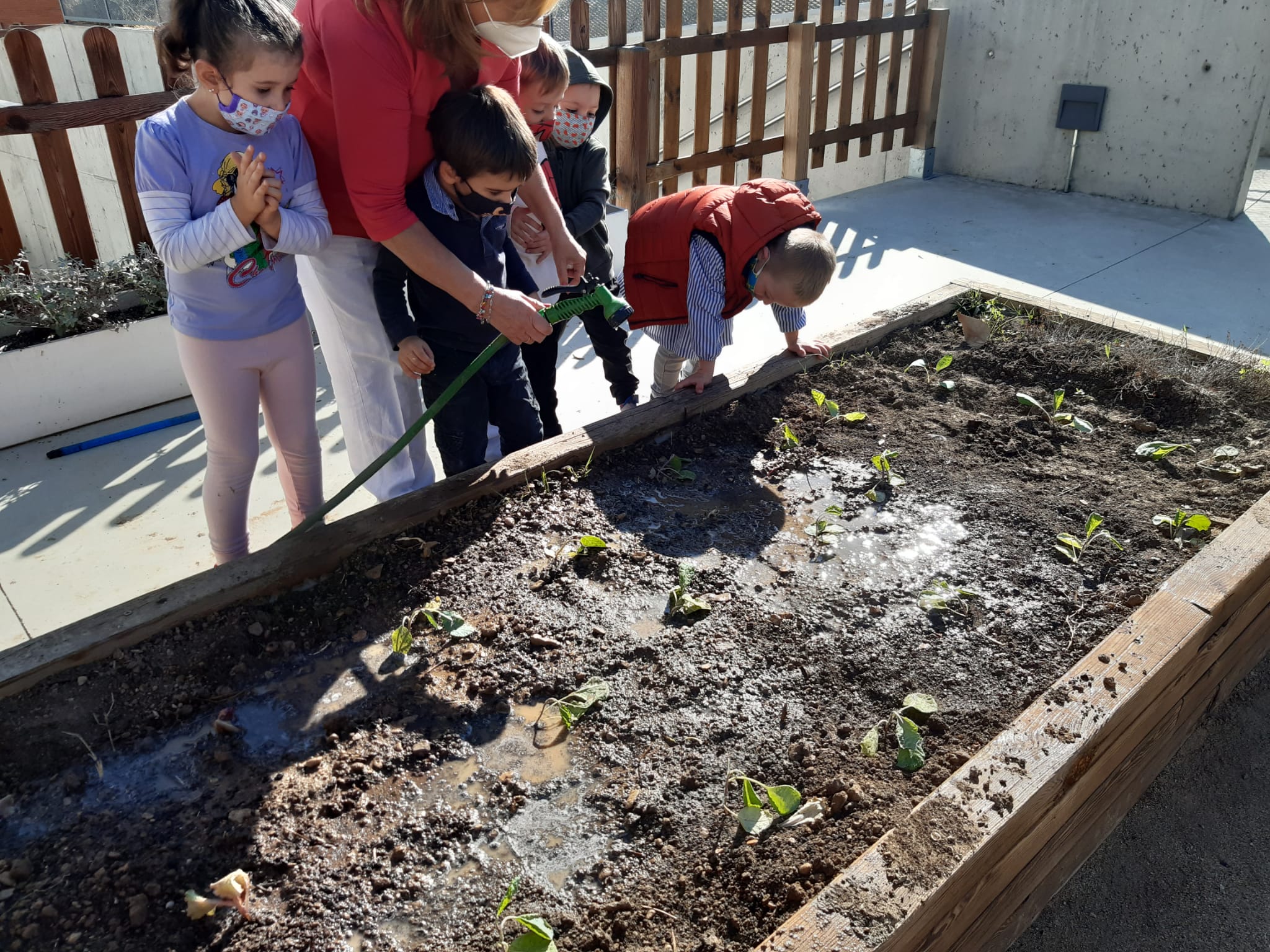 WhatsApp Image 2020-10-27 at 22.56.13