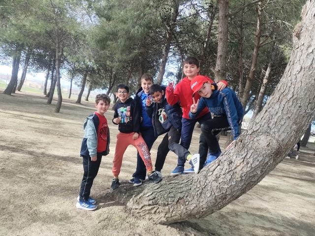 IMG-20260327-WA0027