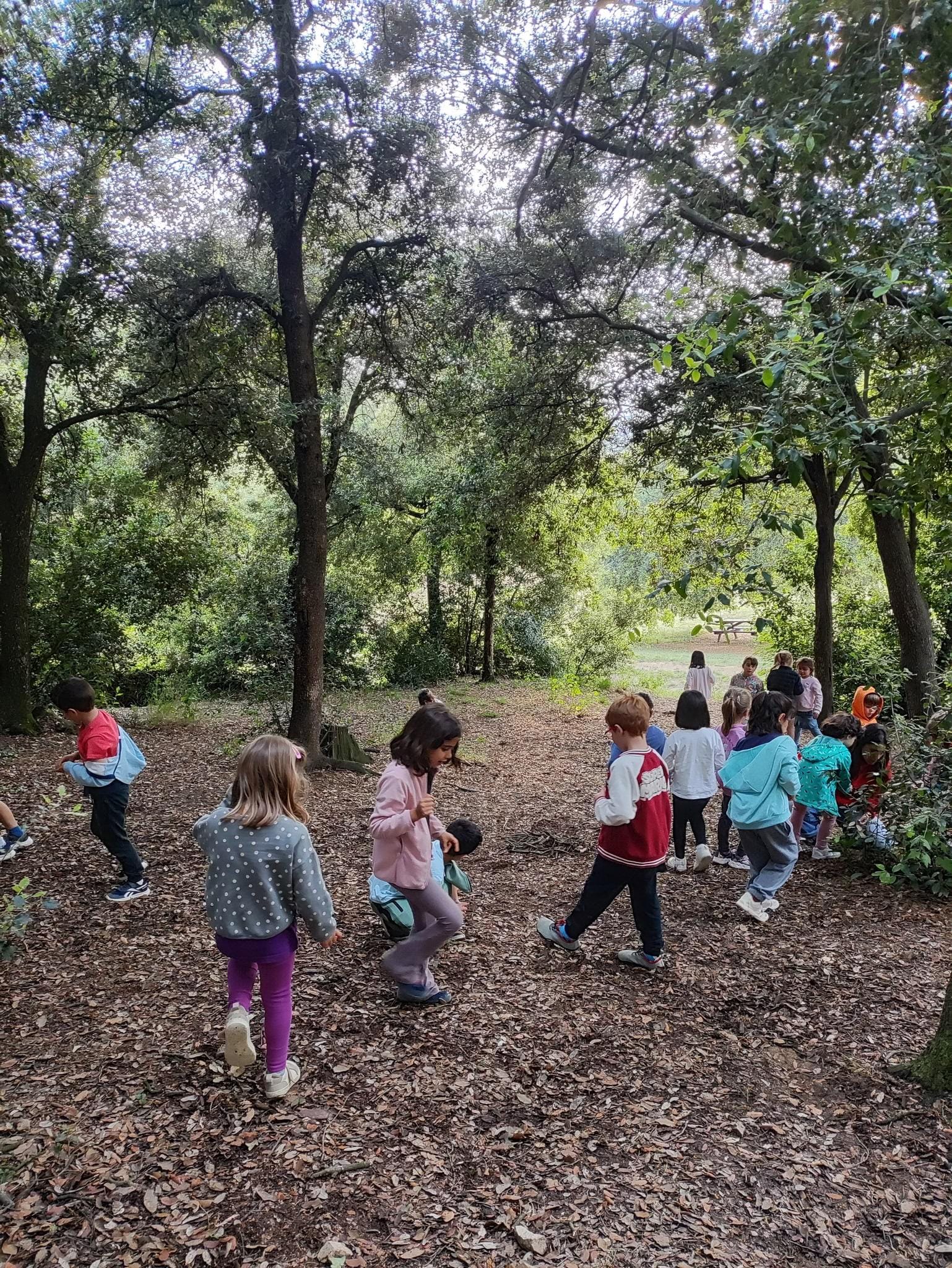 1779608061074