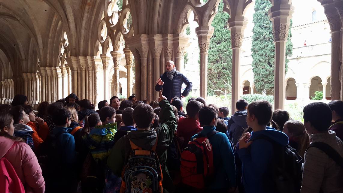 Cambiar tamaño20181122_112809