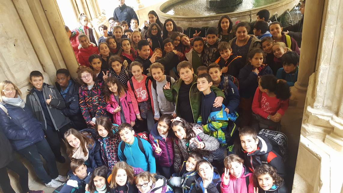 Cambiar tamaño20181122_114006