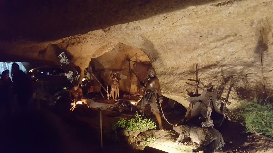 Cambiar tamaño20181122_131231