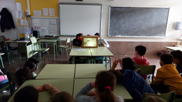 Còpia de 20210205_152857