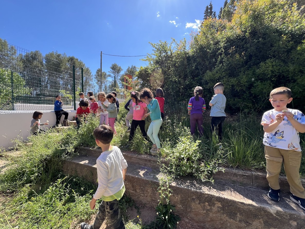 BUSQUEM DENTS DE LLEÓ