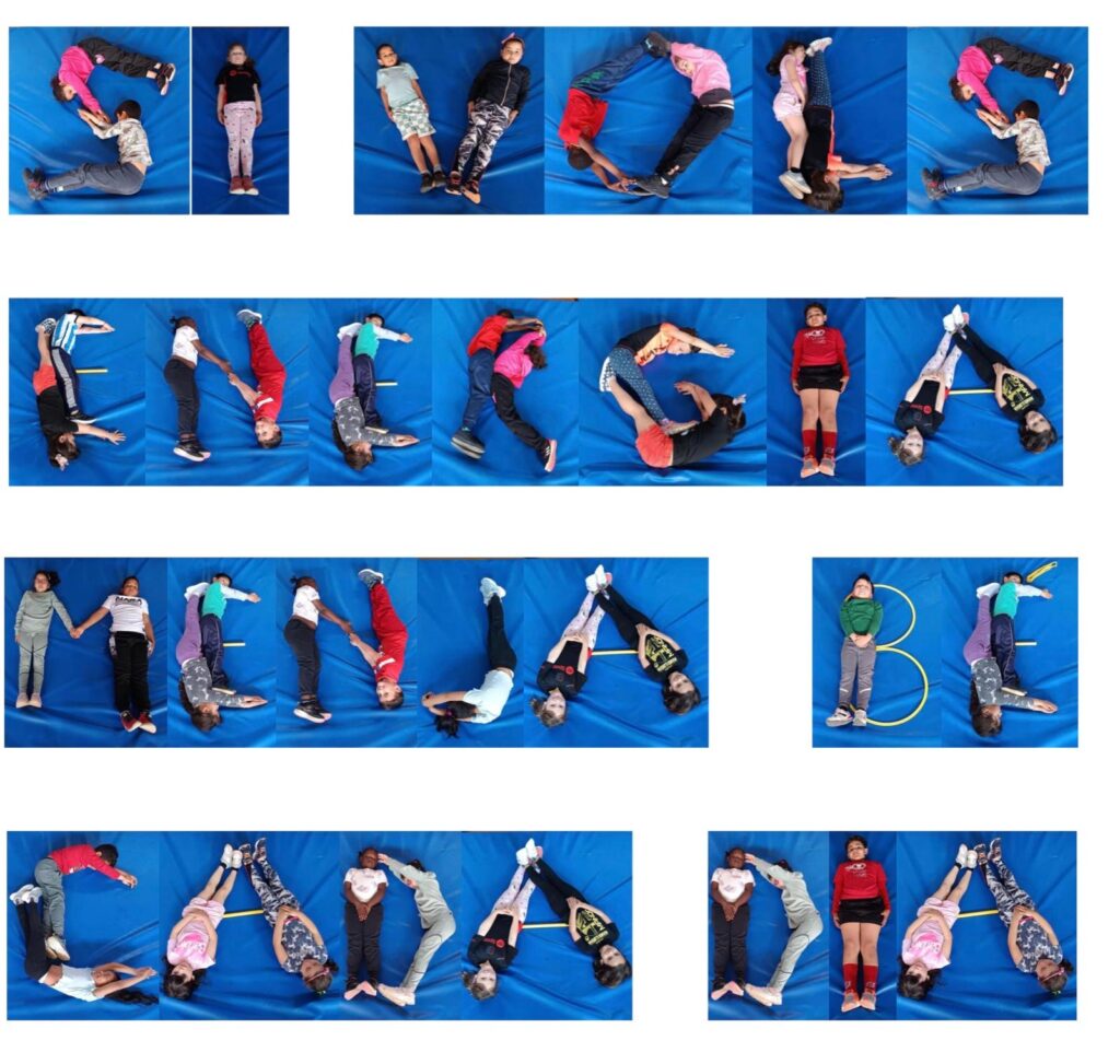 Si vols energia, menja bé cada dia