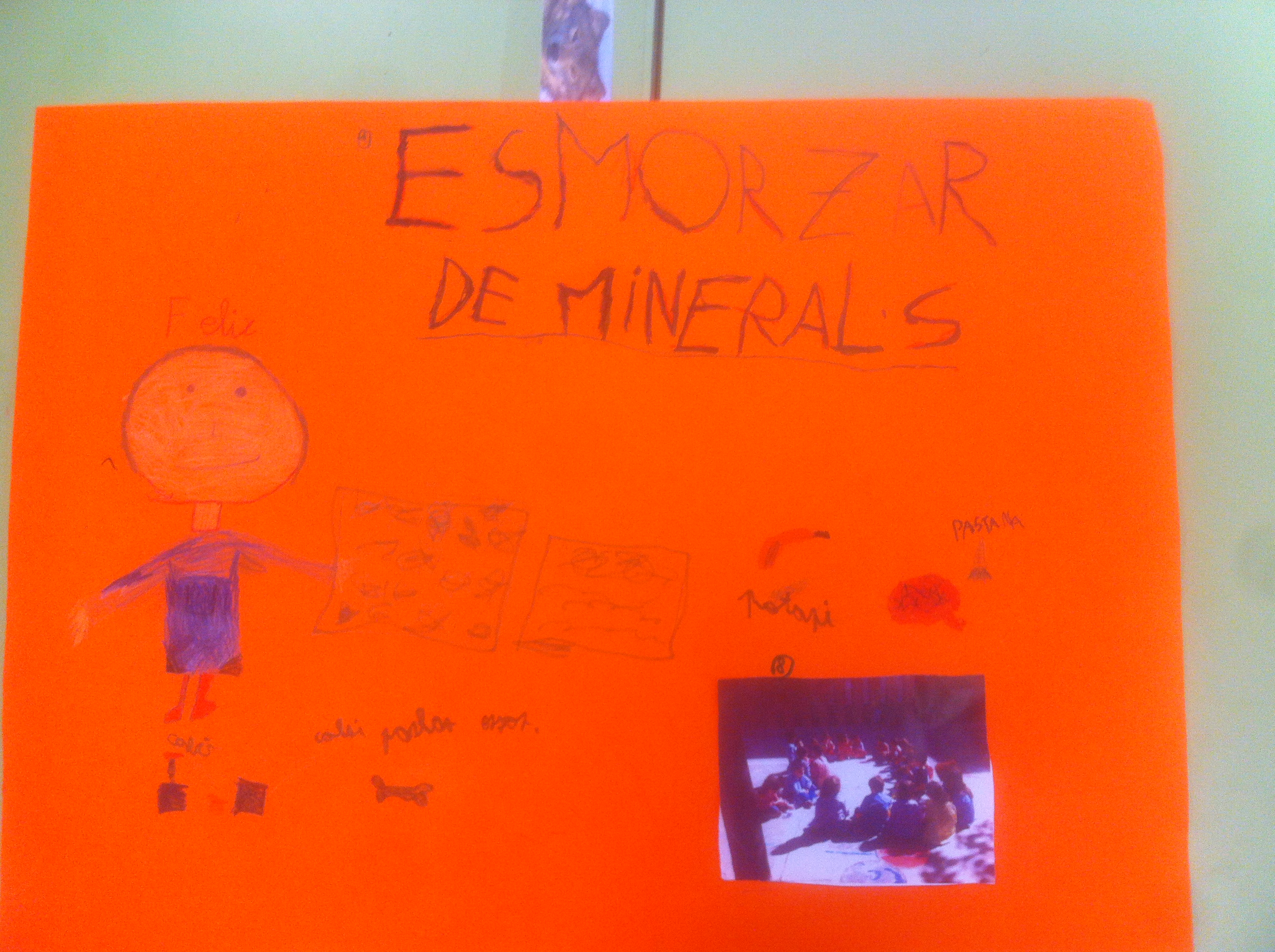 Projecte els minerals PN (19)