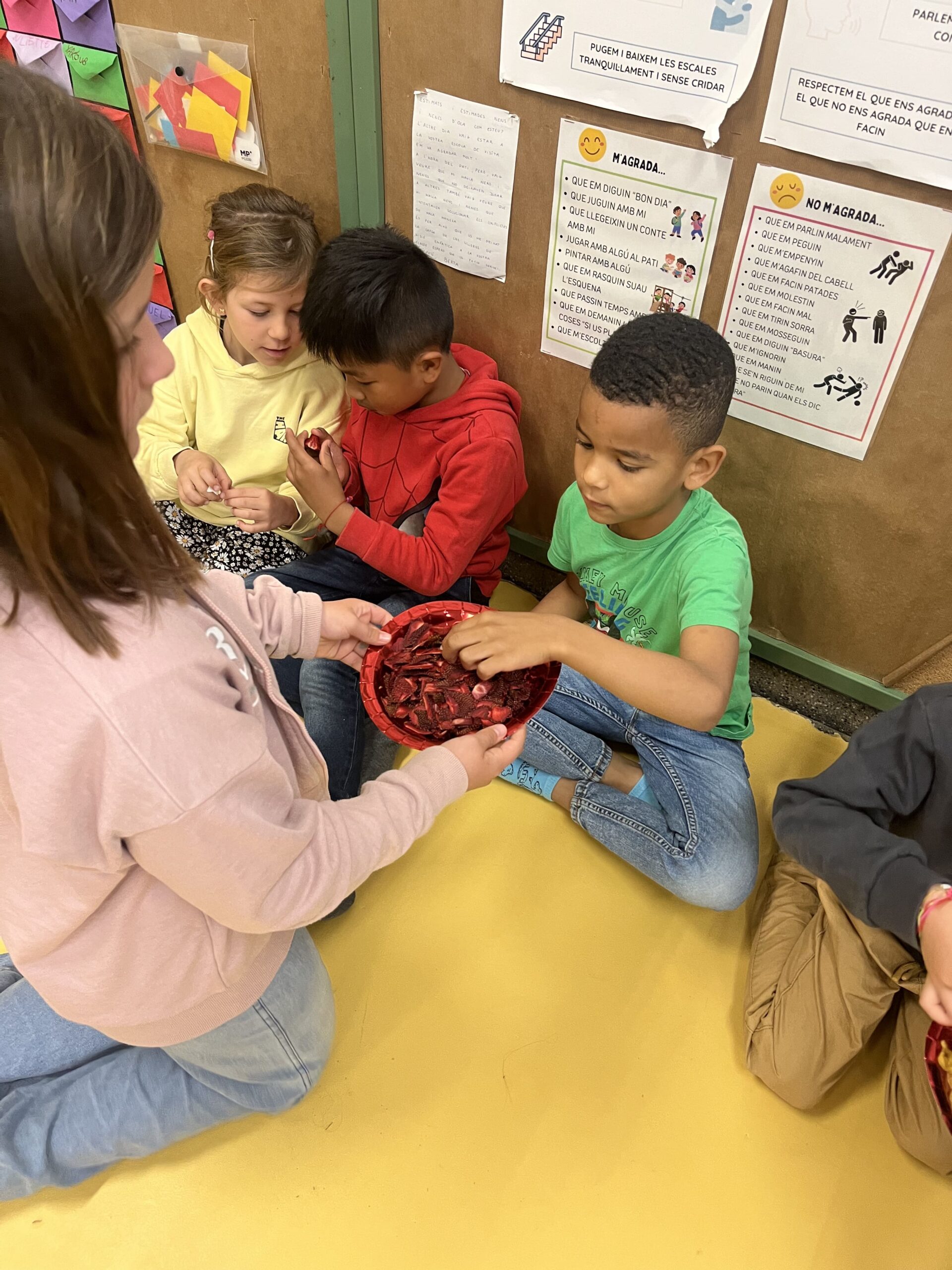 Deshidratació de fruita i trampantojo