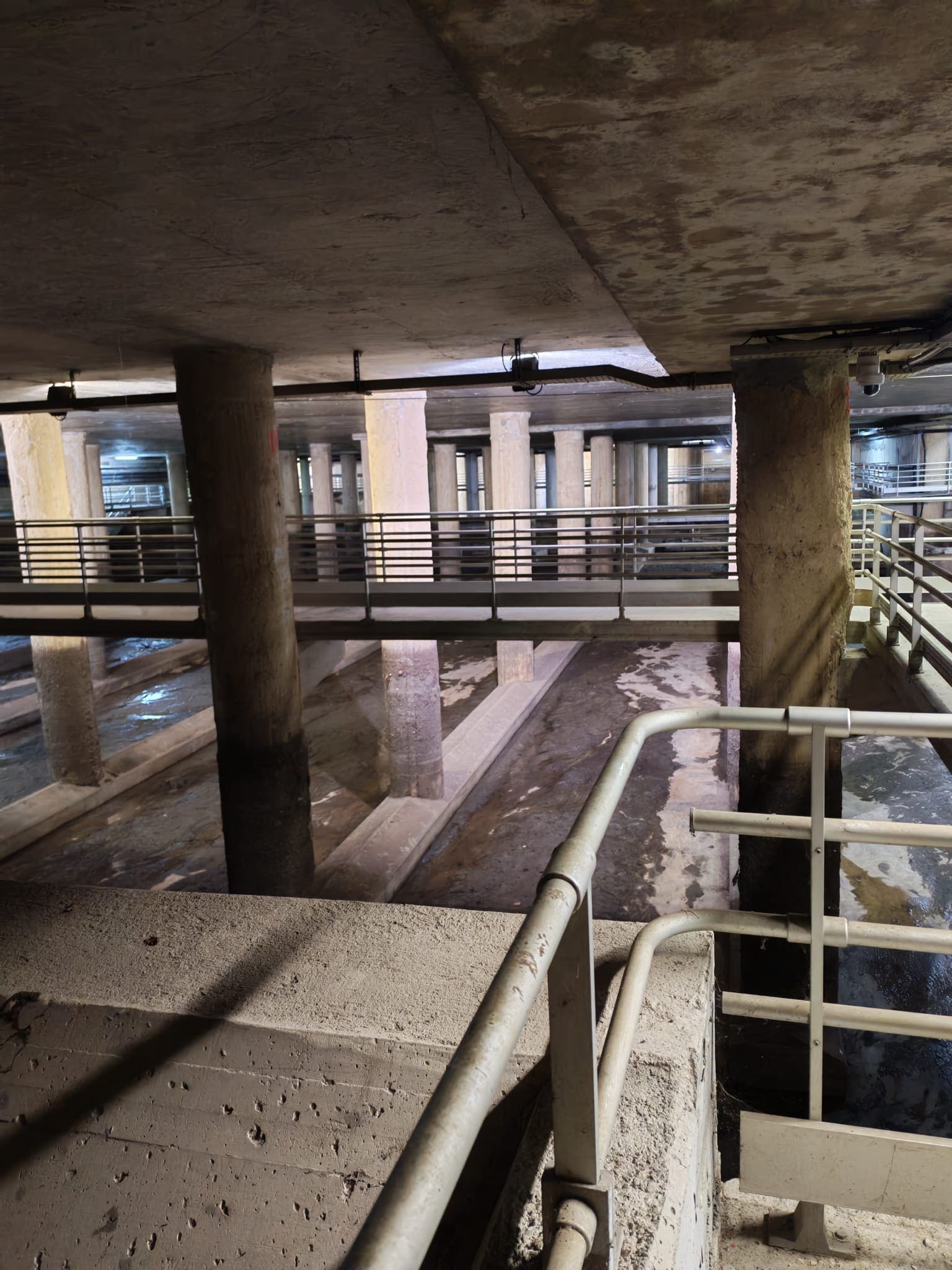 PHOTO-2026-02-09-09-06-56 (1)