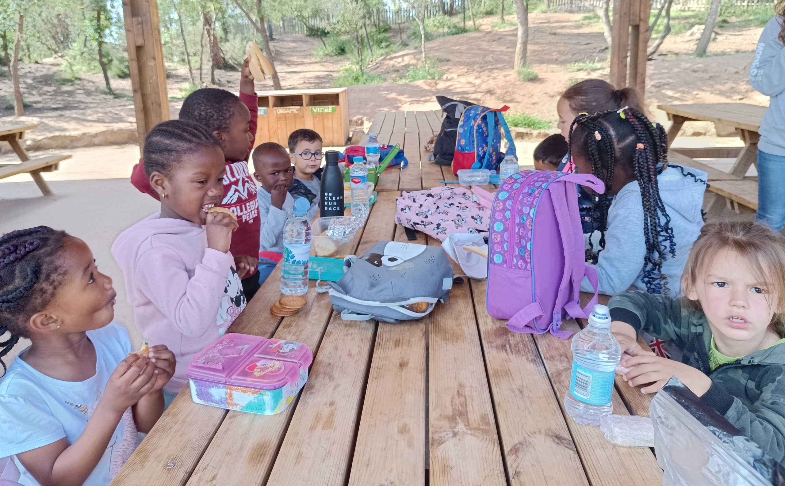 IMG_20240520_102155 - còpia