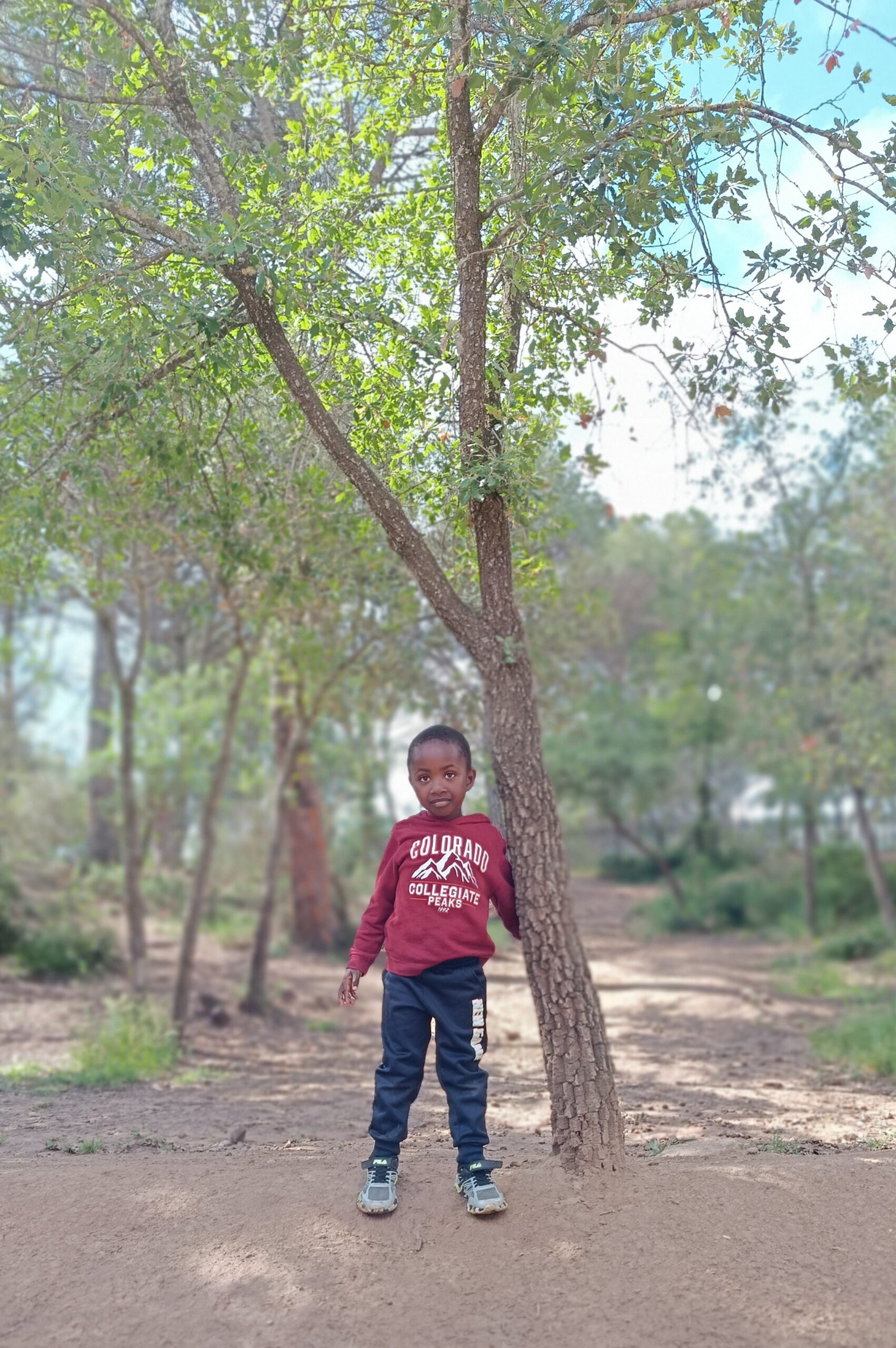 IMG_20240520_104640 - còpia