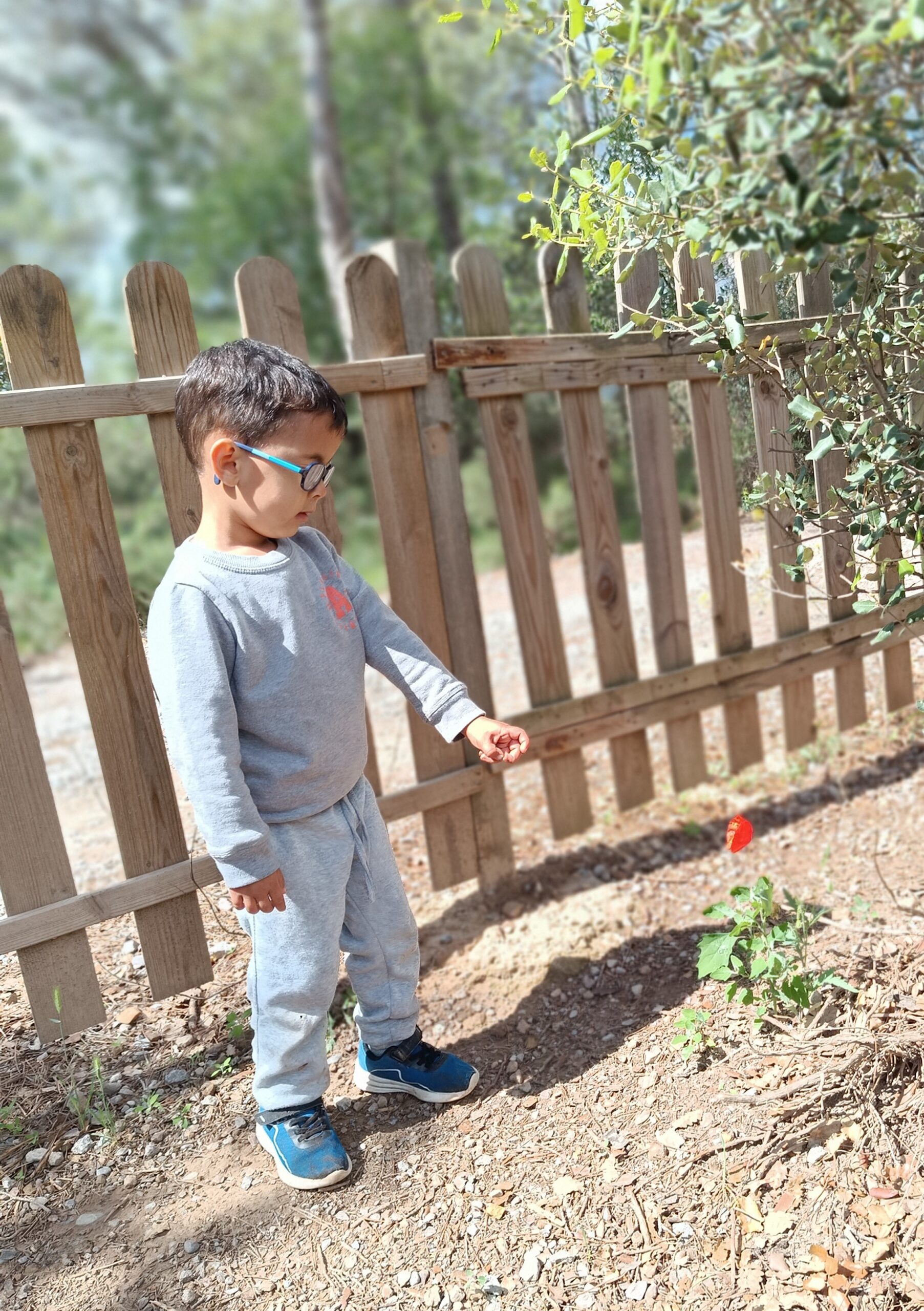 IMG_20240520_104916 - còpia