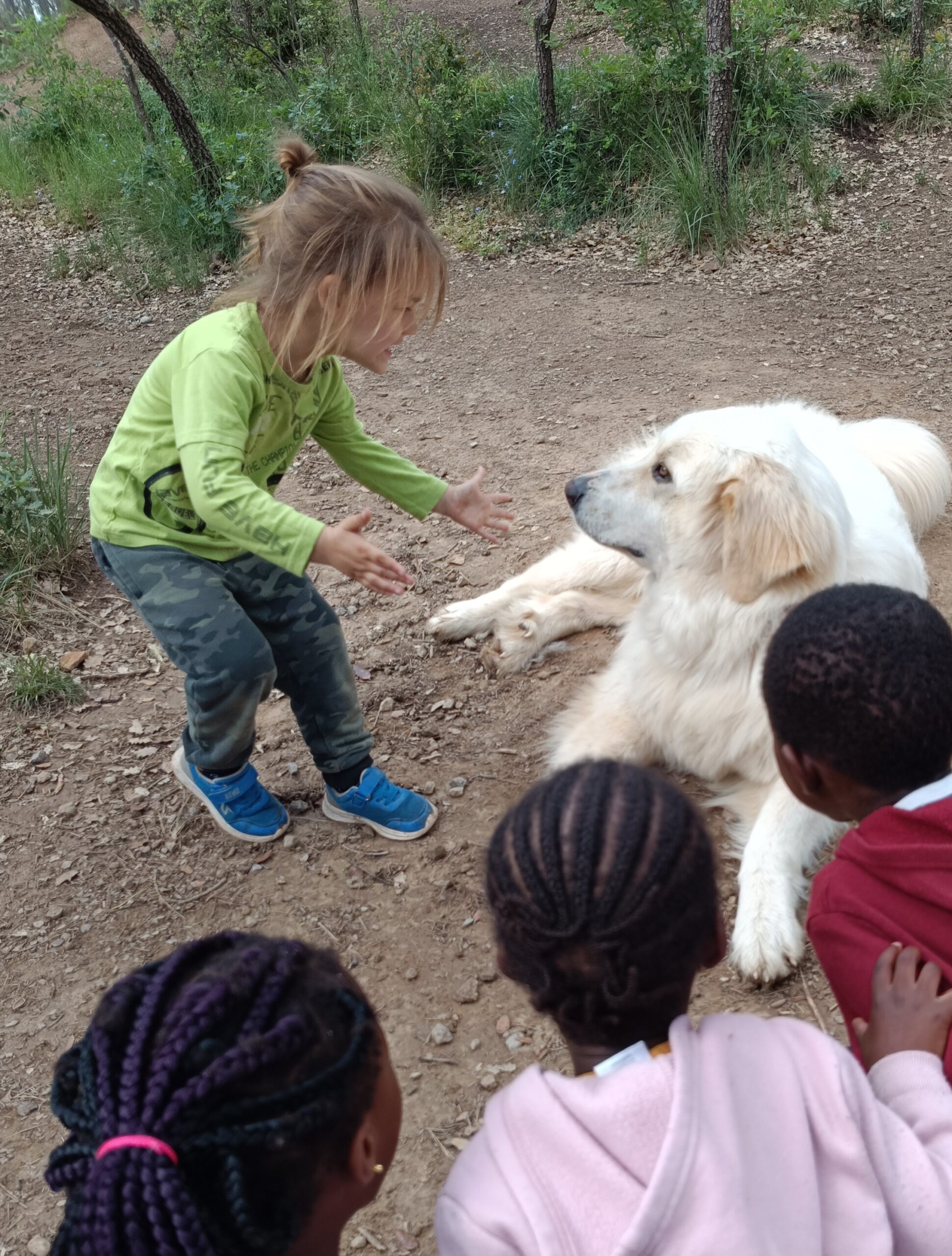 IMG_20240520_105425 - còpia