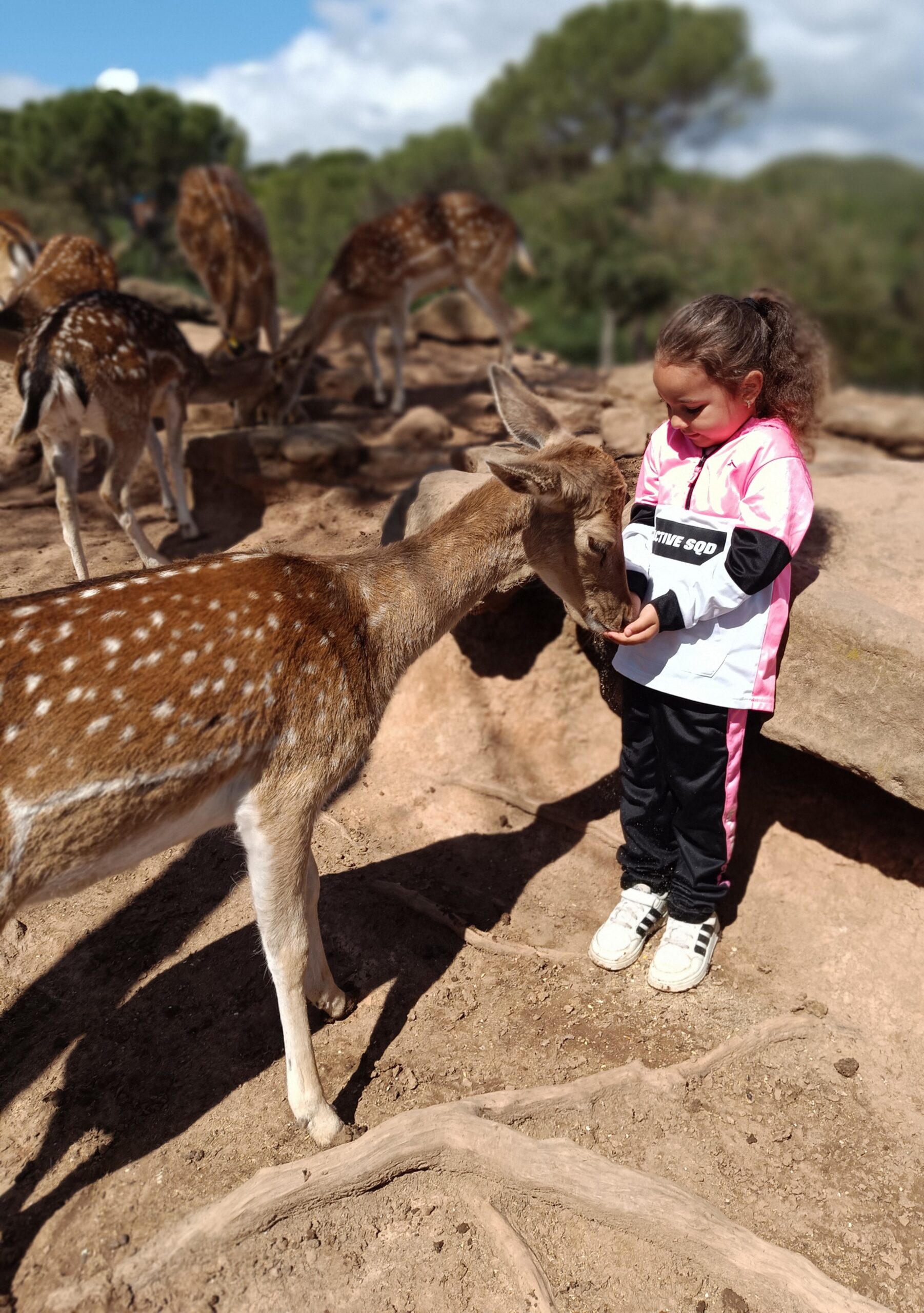 IMG_20240520_112720 - còpia