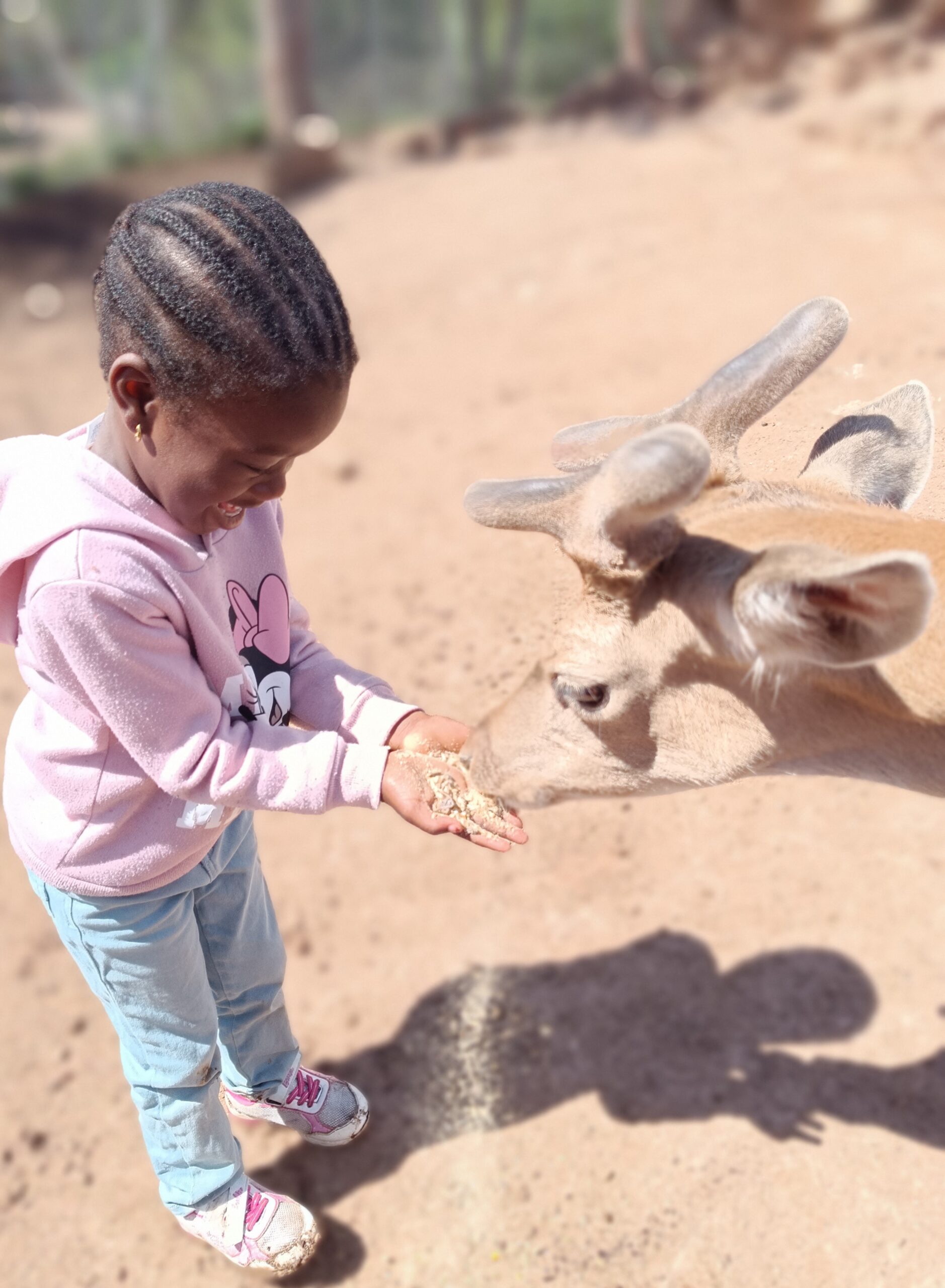 IMG_20240520_112801 - còpia