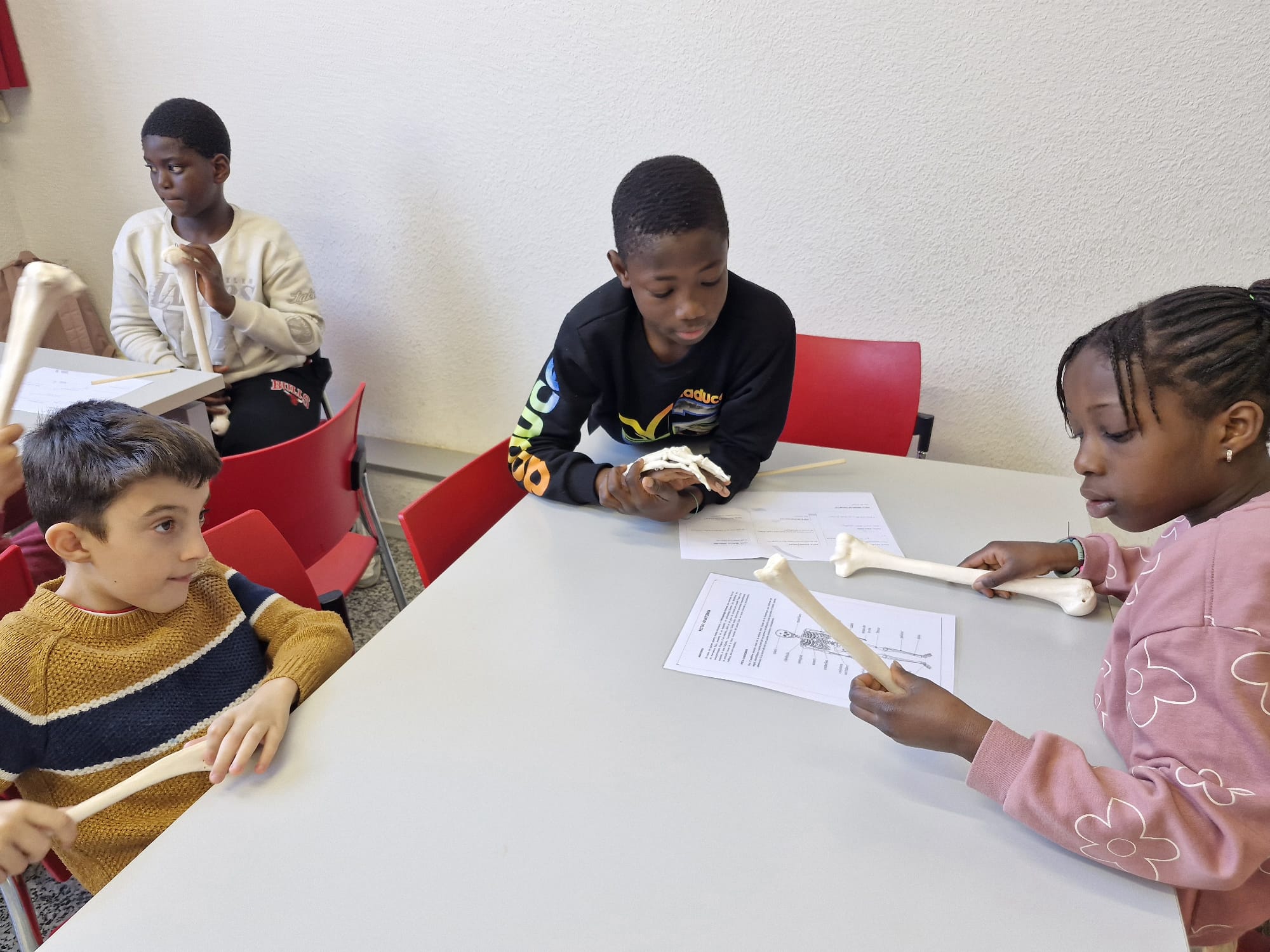 WhatsApp Image 2025-03-04 at 14.39.58