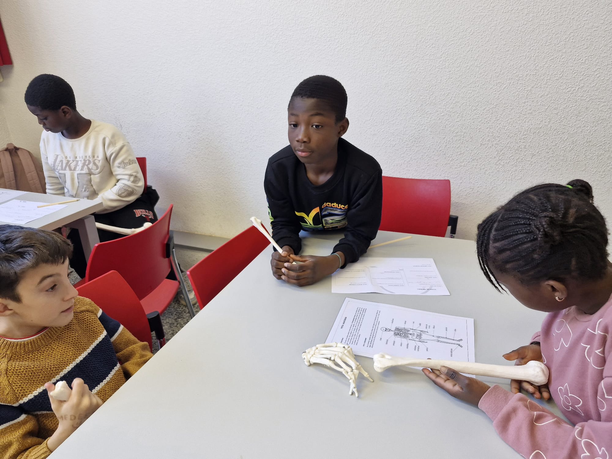 WhatsApp Image 2025-03-04 at 14.39.59