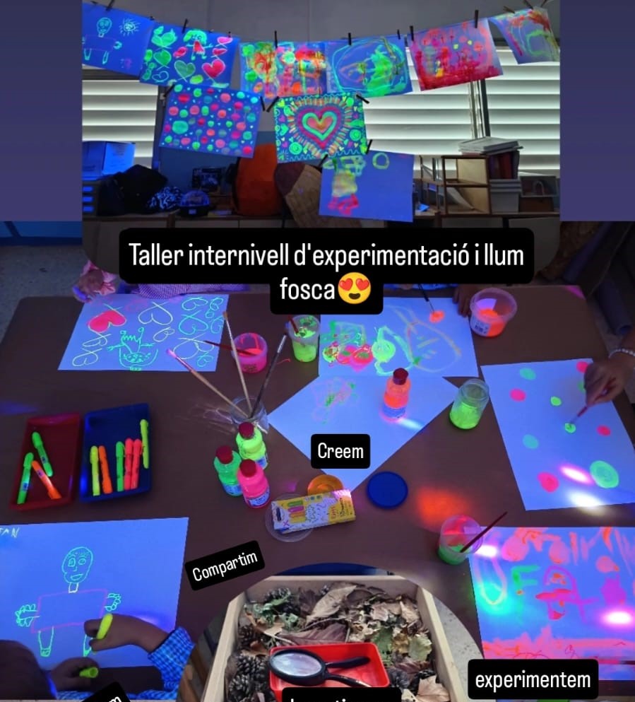 WhatsApp Image 2024-11-15 at 16.34.36