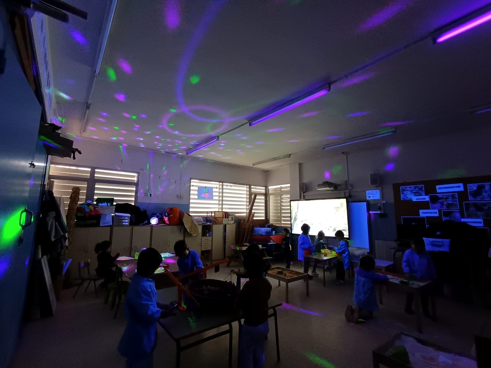 WhatsApp Image 2024-11-15 at 16.34.37