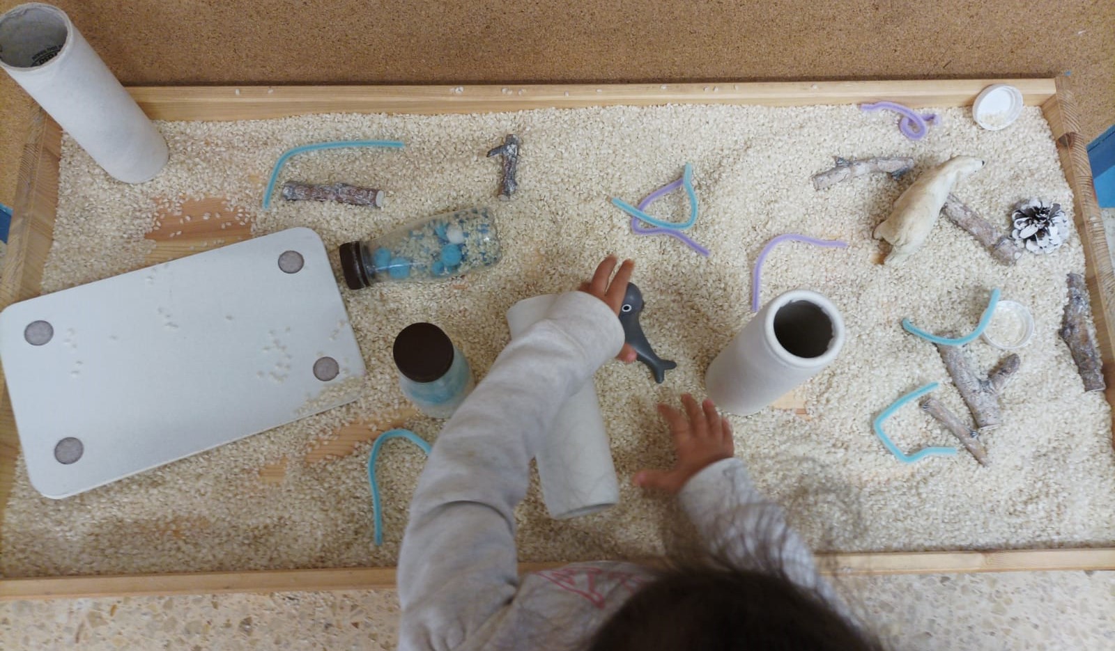 WhatsApp Image 2025-01-17 at 08.32.43 (3)