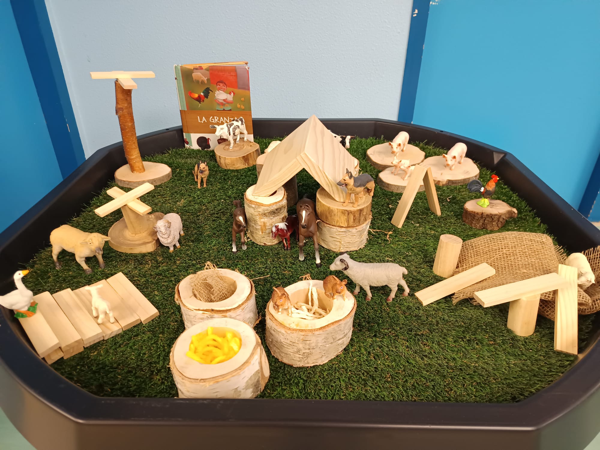 WhatsApp Image 2025-01-17 at 19.59.55 (3)