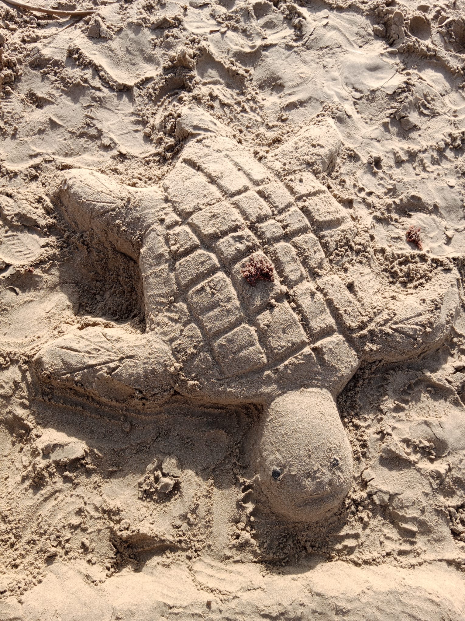 WhatsApp Image 2024-10-22 at 13.29.57