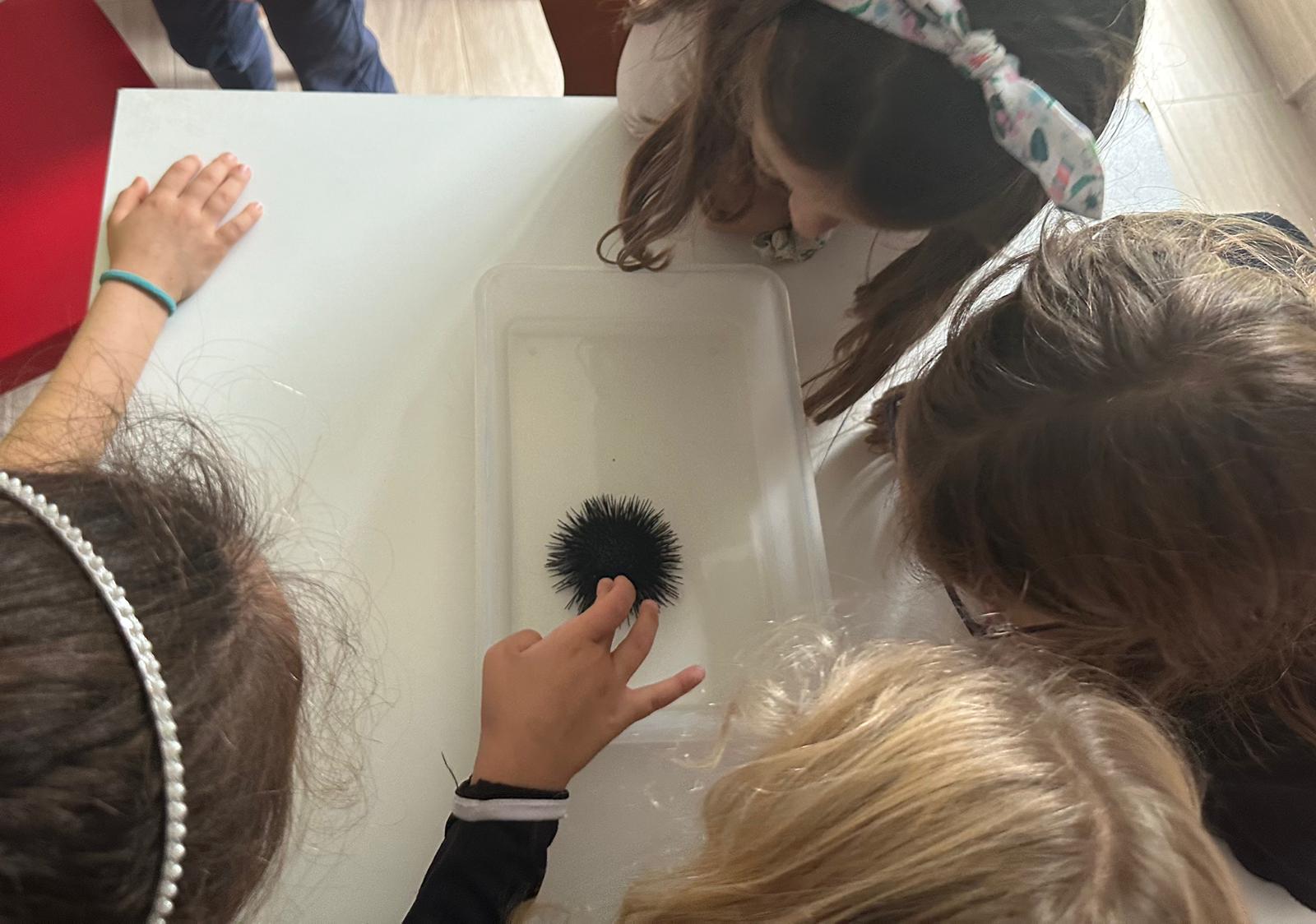 WhatsApp Image 2024-10-22 at 13.32.06 (1)