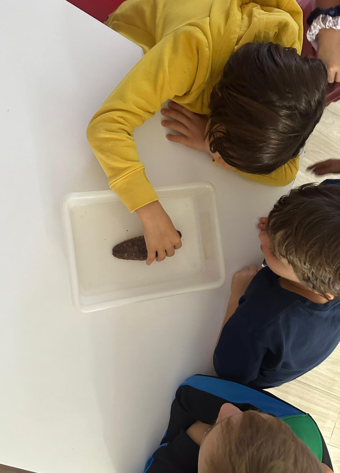 WhatsApp Image 2024-10-22 at 13.32.06