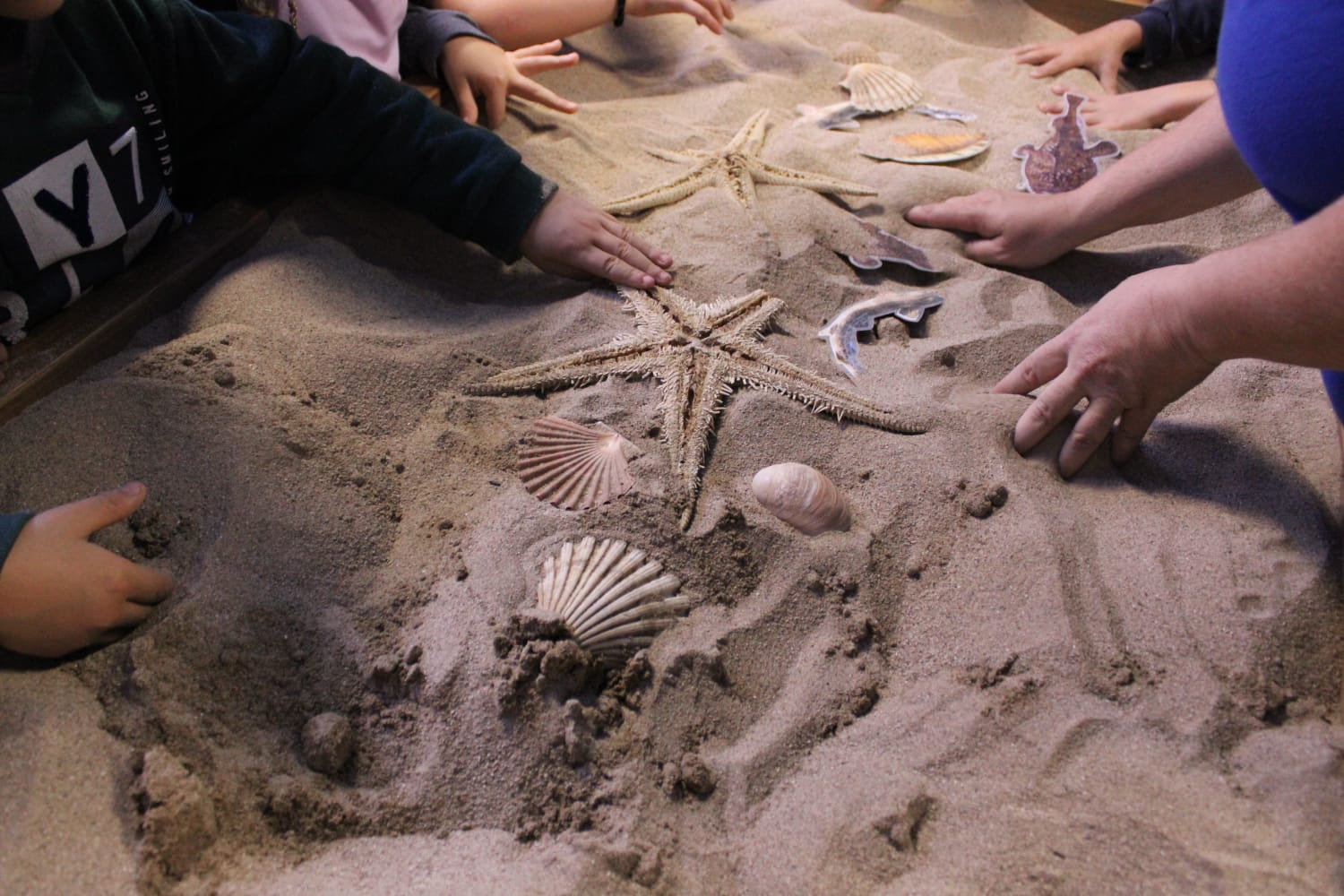 WhatsApp Image 2024-10-22 at 14.06.23