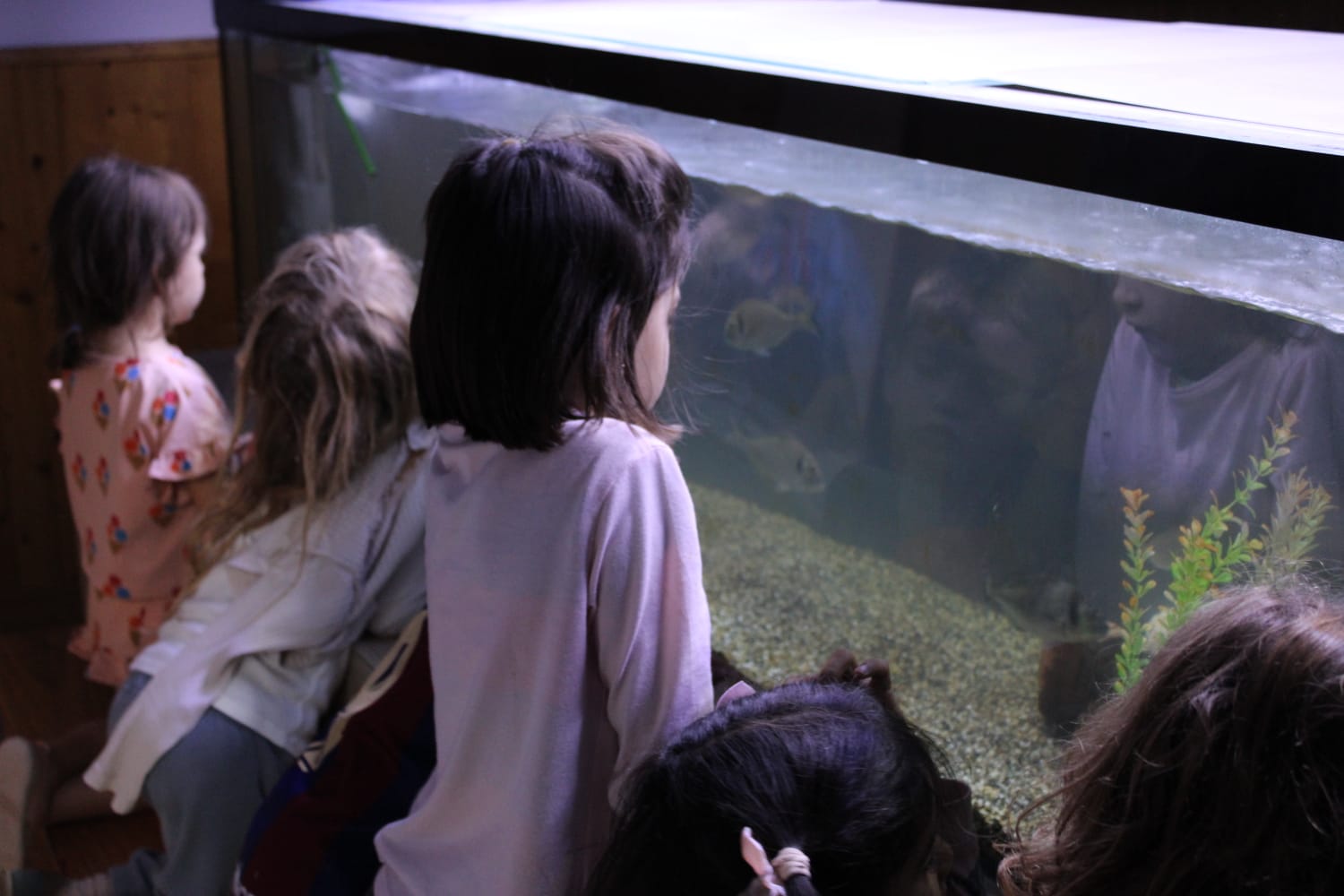 WhatsApp Image 2024-10-22 at 14.07.32